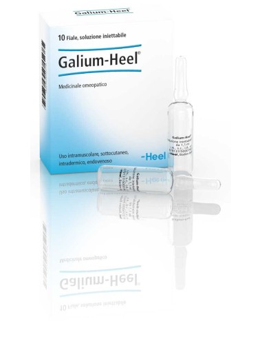 Guna-Heel Galium Soluzione Omeopatica Iniettabile